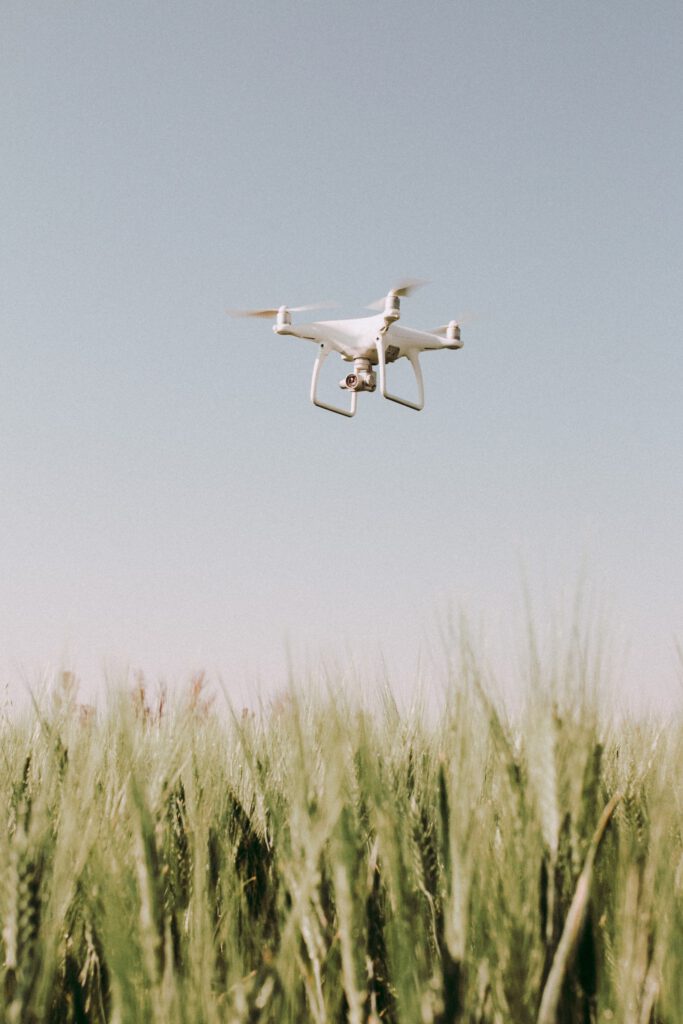 A drone flying through high weeds